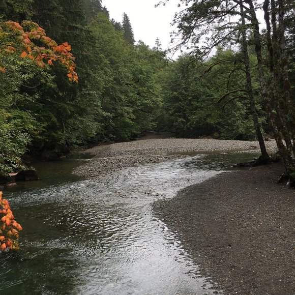 Meet your Posher, Juliana and her Fashion Guru Daughters!! - Picture 5 of 5